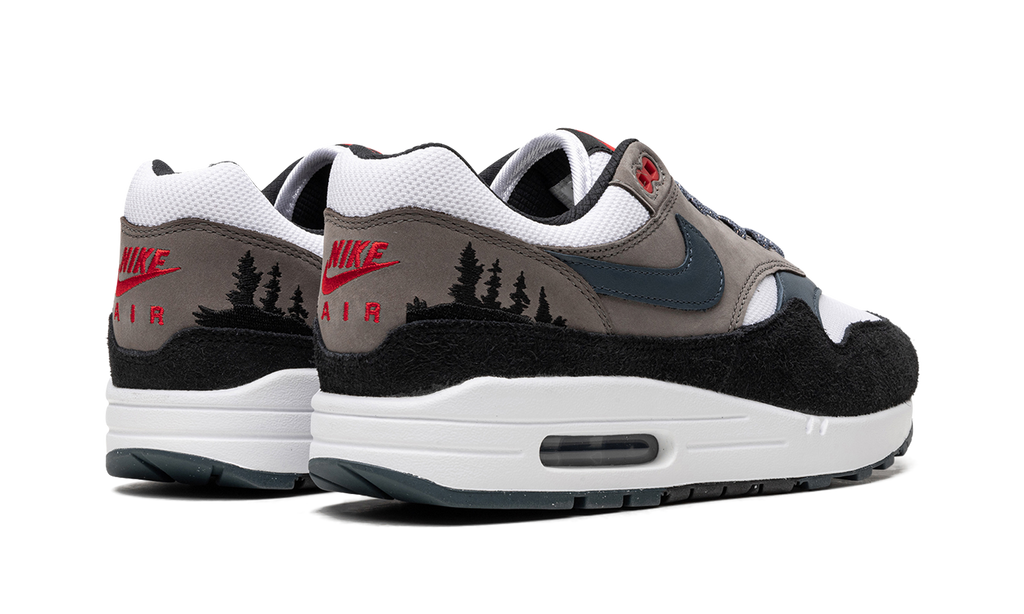 Nike Air Max 1 Slate Blue FJ0698 100