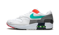 Nike Air Max 1 Evolution Of Icons CW6541 100