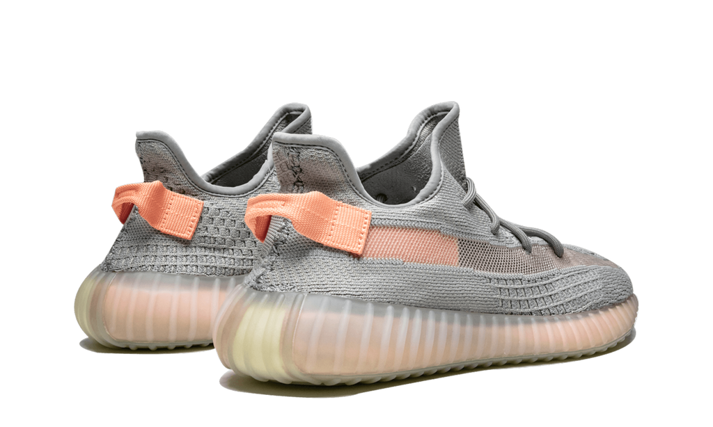 Yeezy Boost 350 V2 True Form EG7492