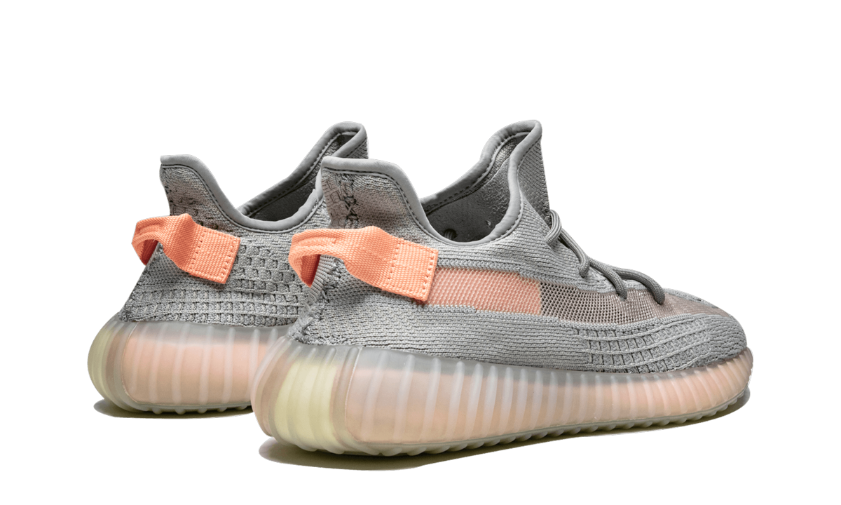 Yeezy Boost 350 V2 True Form EG7492