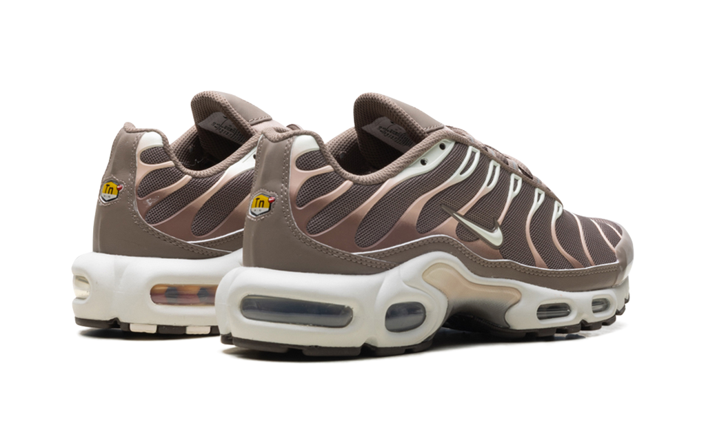 Nike Air Max Plus Mink Brown DZ3671 200