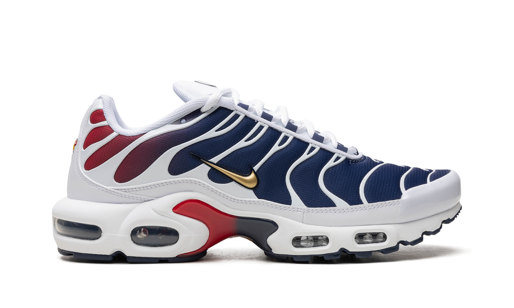 Nike Air Max Plus PSG FZ4776 100