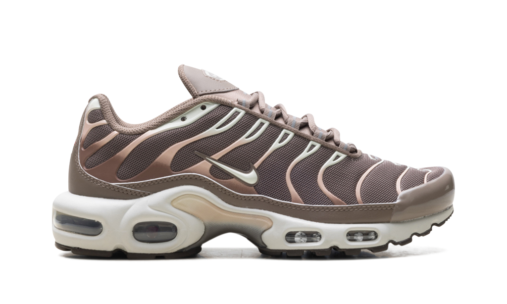 Nike Air Max Plus Mink Brown DZ3671 200