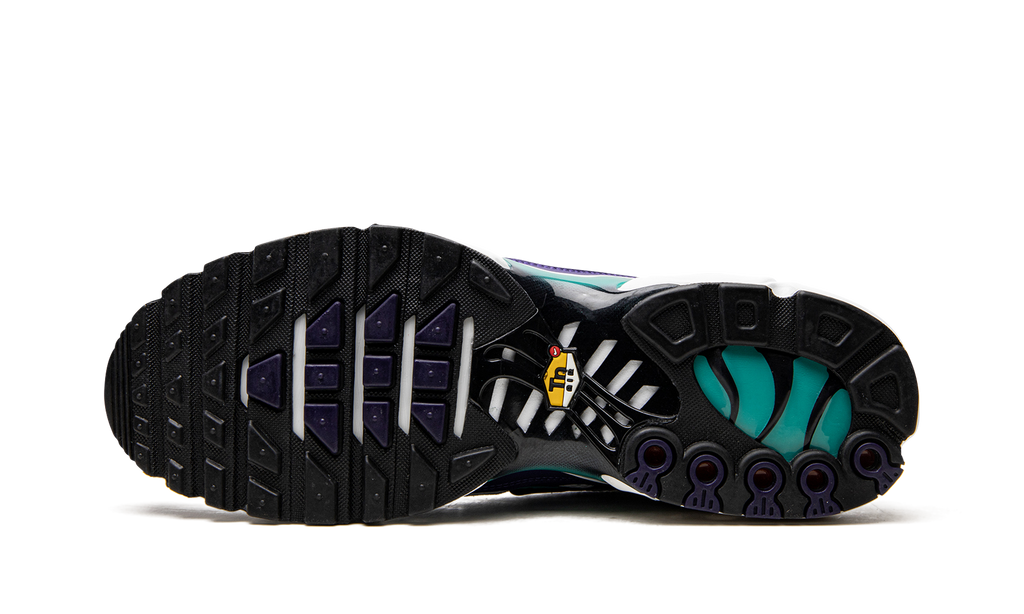 Nike Air Max Plus Grape DM0032 100