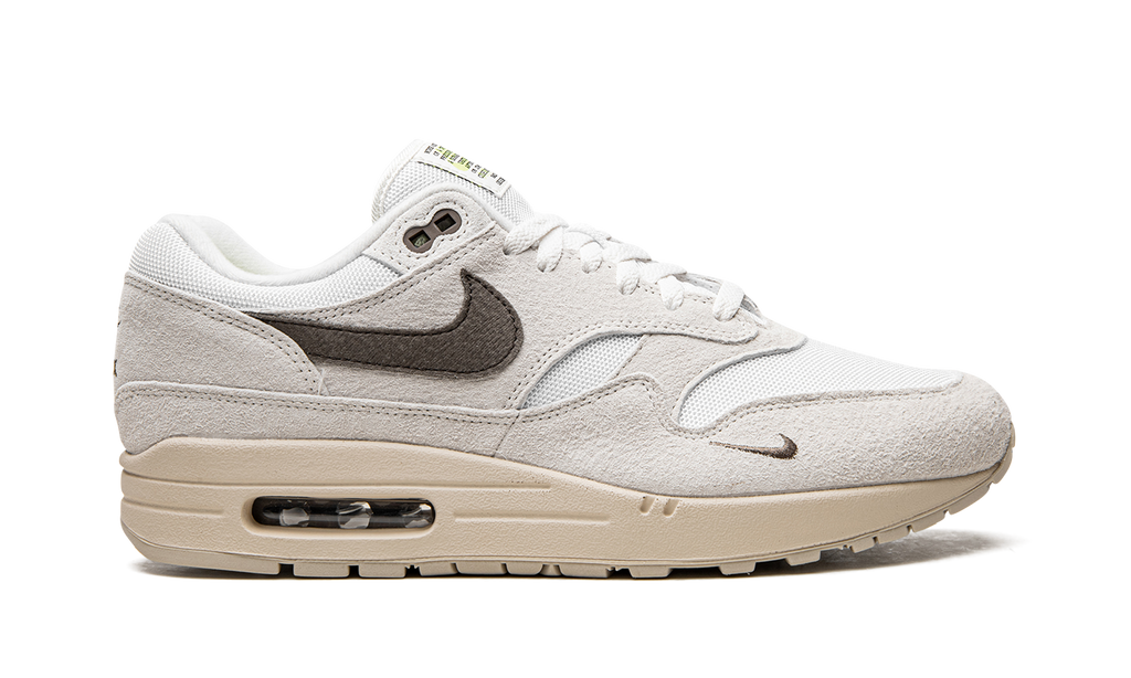 Nike Air Max 1 Sail Ironstone DZ4494 100