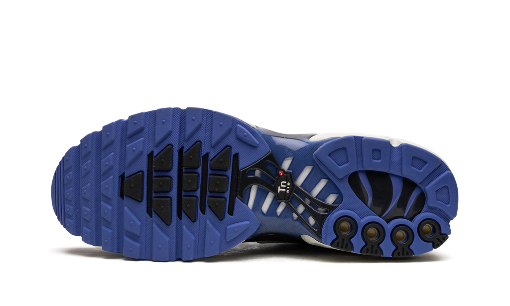 Nike Air Max Plus SE Social F.C. DQ3981 001