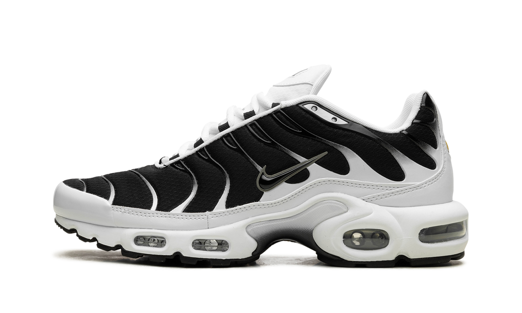 Nike Air Max Plus Black / White CT1094 102