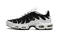 Nike Air Max Plus Black / White CT1094 102