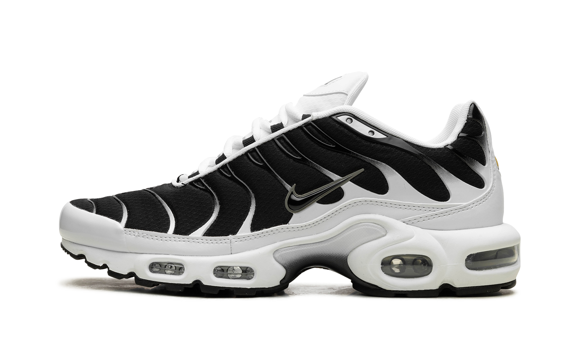 Nike Air Max Plus Black / White CT1094 102