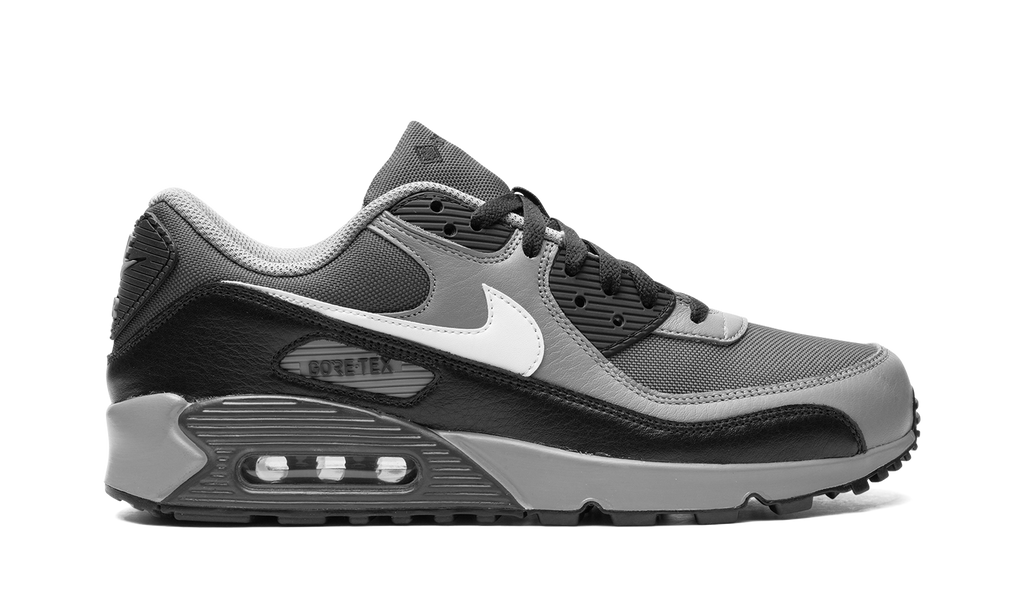 Nike Air Max 90 GORE-TEX Dark Smoke Grey FD5810 002