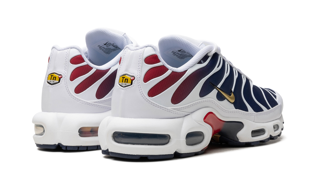 Nike Air Max Plus PSG FZ4776 100
