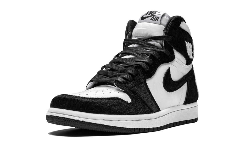 AIR JORDAN 1 RETRO HIGH OG WMNS Twist CD0461 007