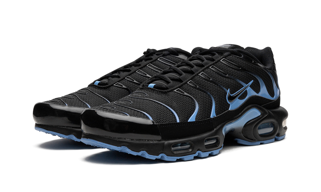 Nike Air Max Plus Black / University Blue DM0032 005