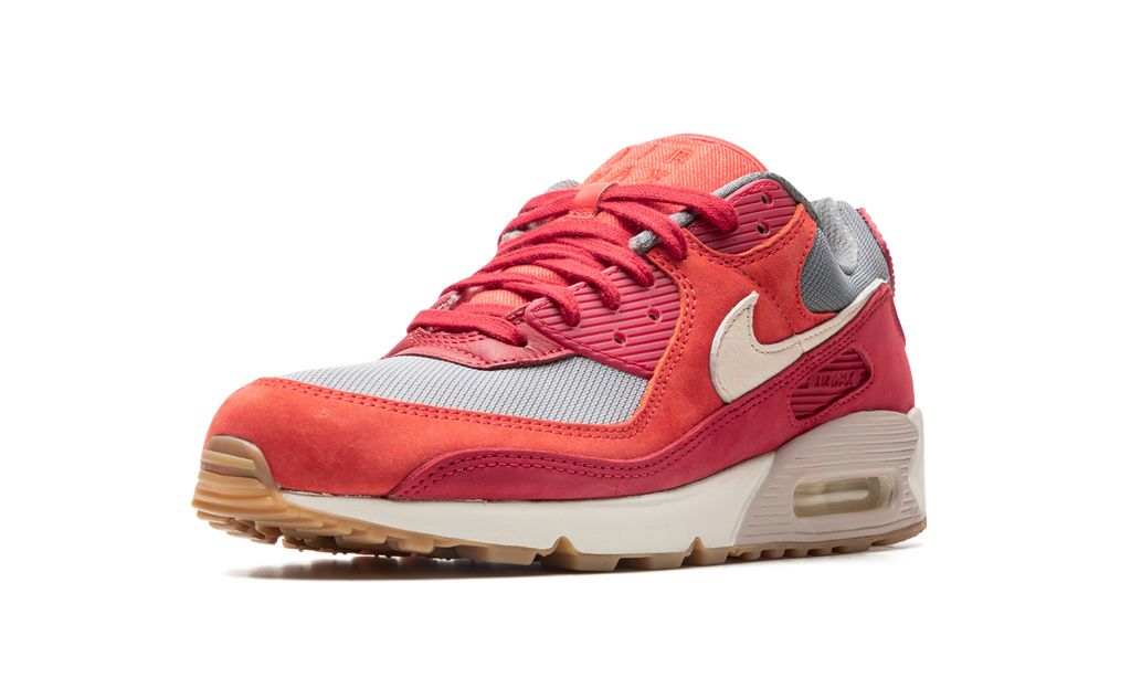 Nike Air Max 90 PRM Gym Red DH4621 600