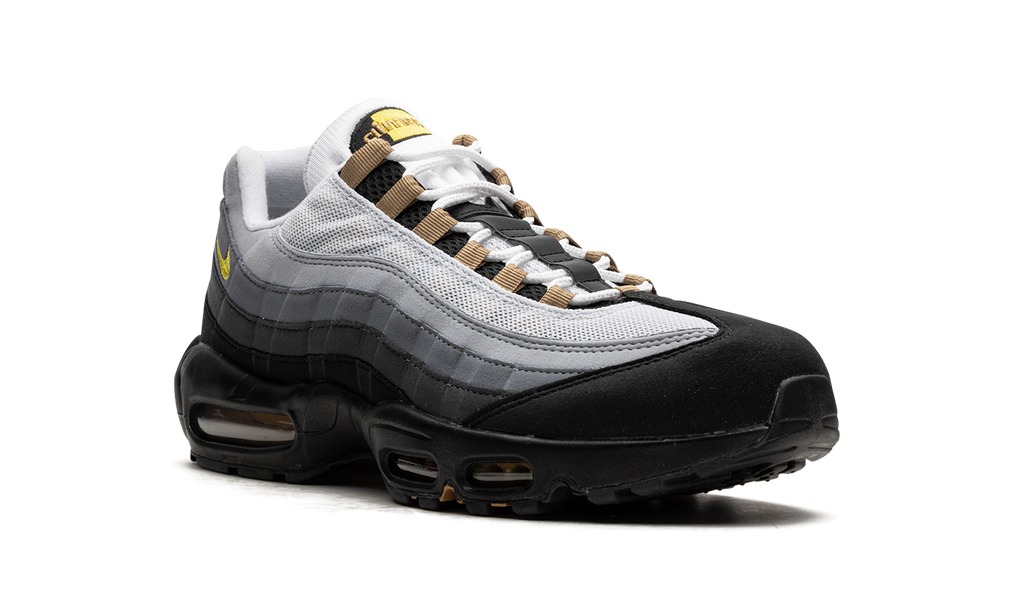 Nike Air Max 95 ICONS DX4236 100