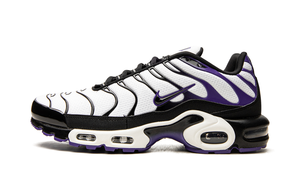 Nike Air Max Plus Persian Violet DB0682 100