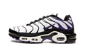 Nike Air Max Plus Persian Violet DB0682 100