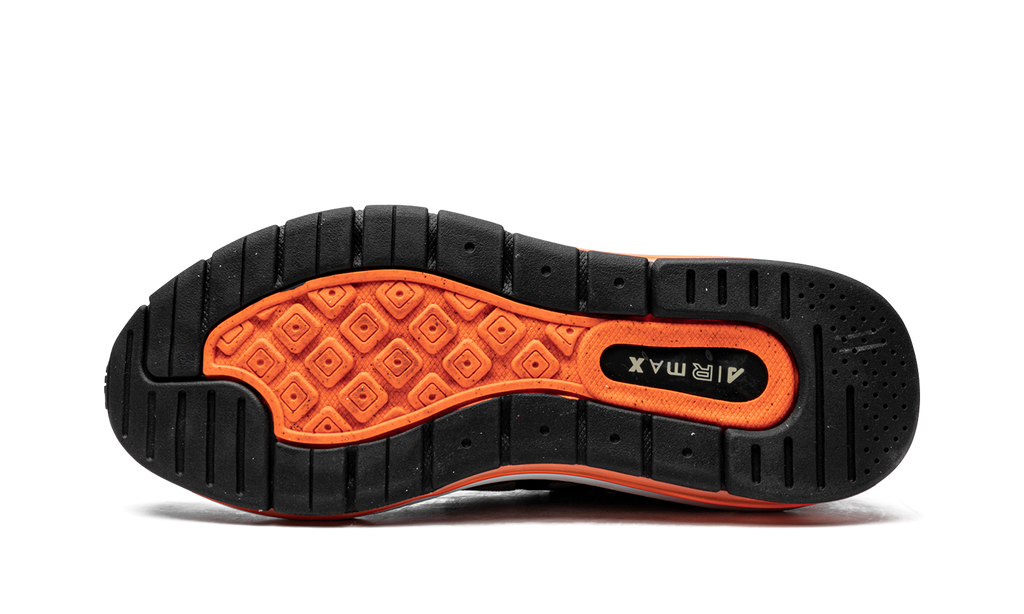 Nike Air Max Genome