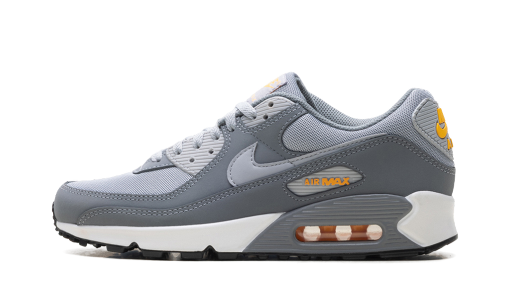 Nike Air Max 90 Cool Grey Sundial HV6224 002