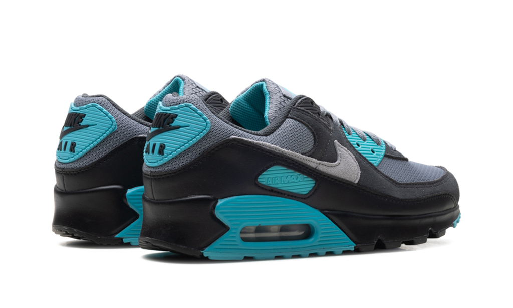Nike Air Max 90 Dusty Cactus DM0029 013