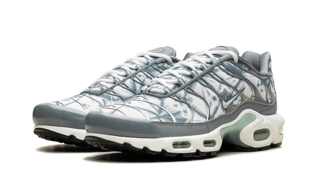 Nike Air Max Plus Waterway FV0394 300