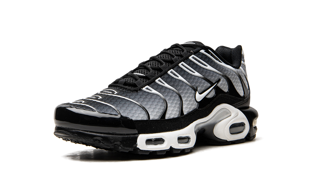 Nike Air Max Plus Black / Silver DM0032 003