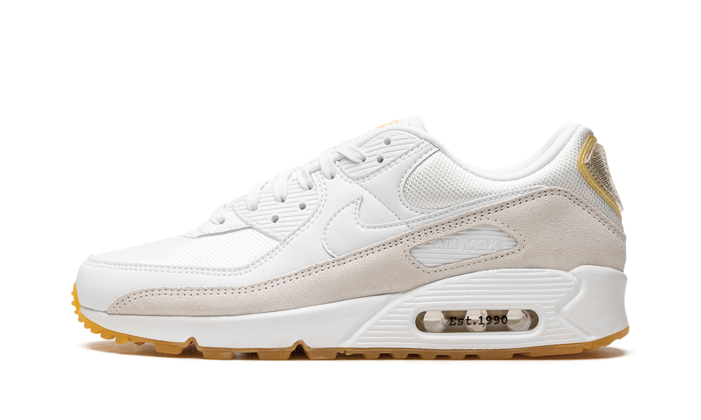 Nike Air Max 90 Frank Rudy DV1734 100