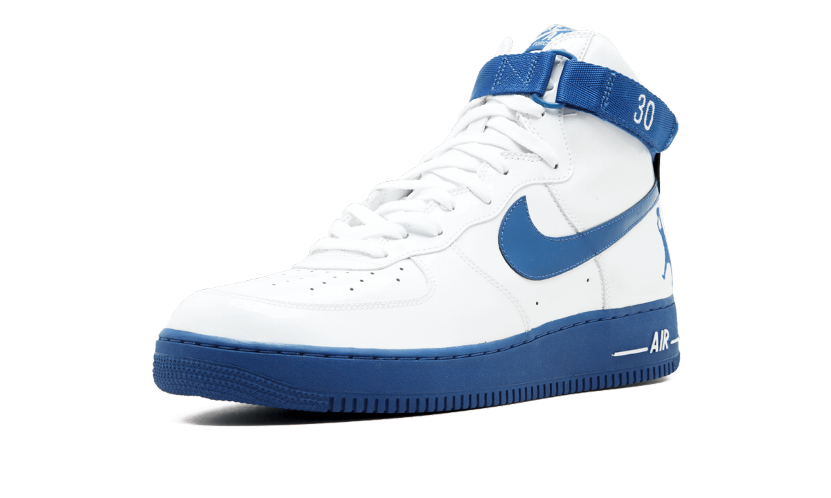 Nike Air Force 1 Sheed Rasheed Wallace 3078722 141