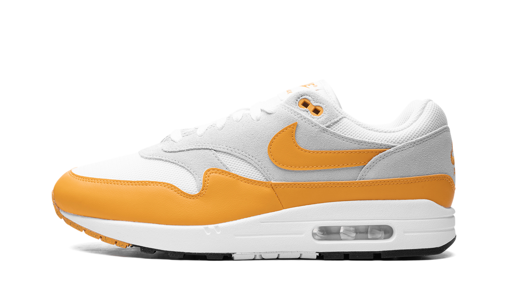 Nike Air Max 1 Gold FZ5808-100