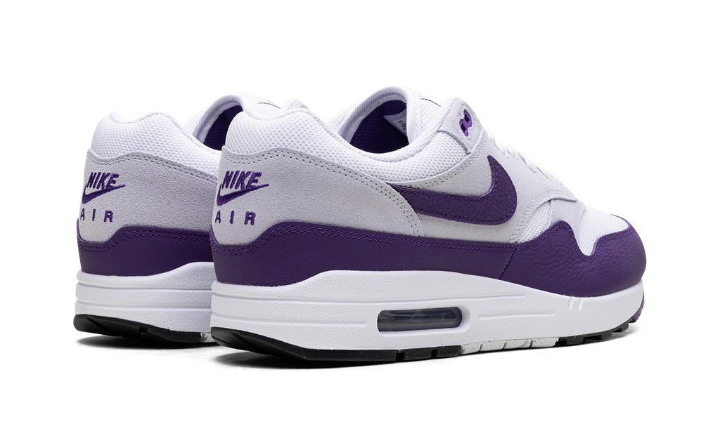 Nike Air Max 1 SC Field Purple DZ4549 101