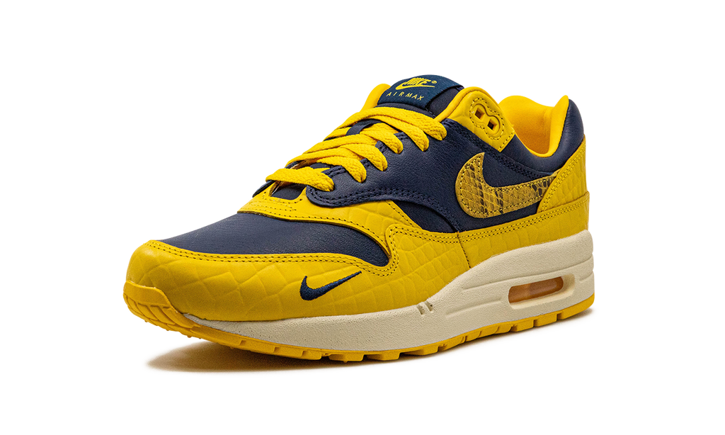 Nike AIR MAX 1 PRM MNS WMNS Co.jp Head to Head FJ5479 410