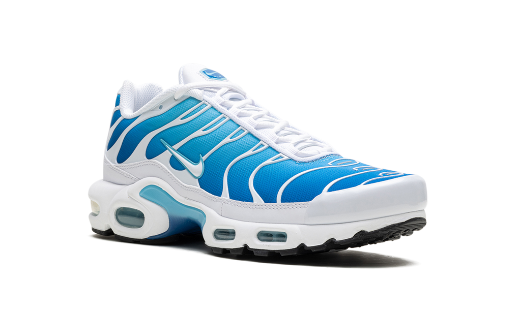 Nike Air Max Plus Blue Gaze 852630 411