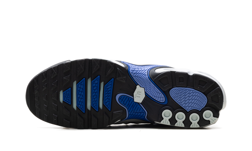 Nike Air Max Plus Drift Summit White Royal Pulse FD4290 102
