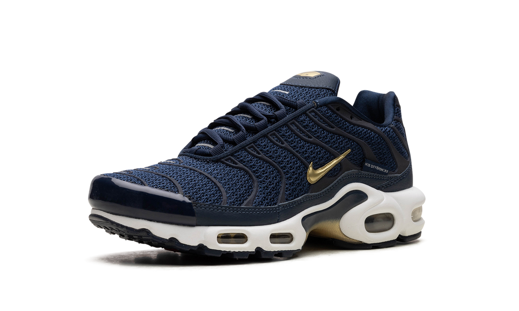 Nike Air Max Plus FFF fb3350 400