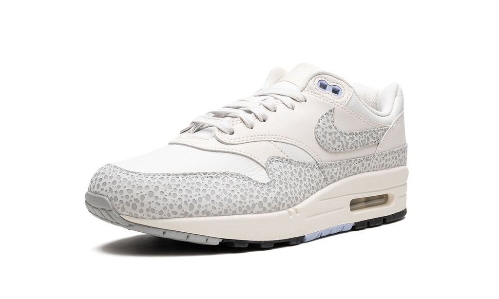 Nike AIR MAX 1 MNS WMNS Summit White FB5059 100