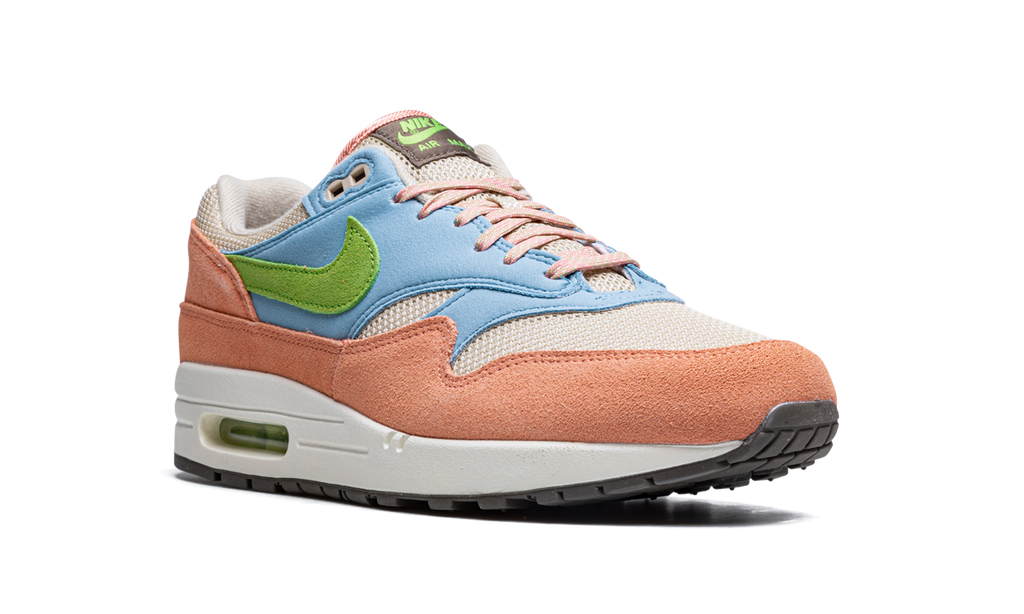Nike Air Max 1 Light Madder Root DV3196 800