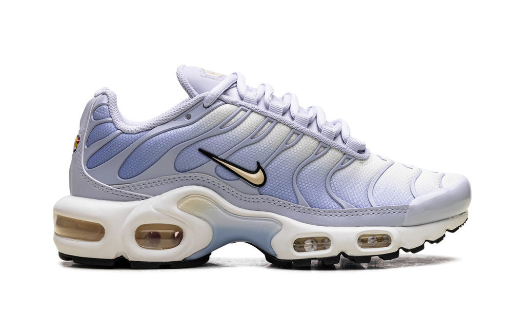 Nike Air Max Plus WMNS Daybreak DZ3670 004