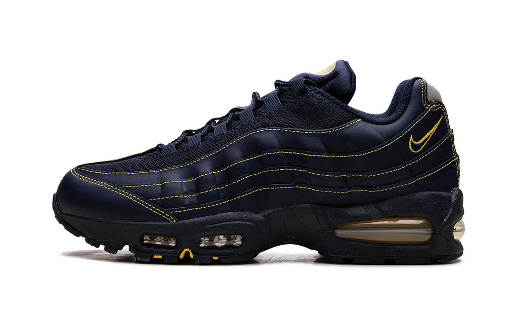 Nike Air Max 95 Michigan IB7936 400