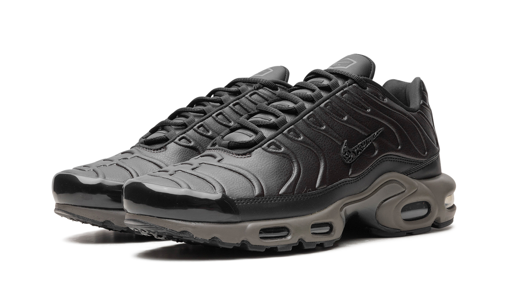 Nike Air Max Plus Black Tea / Petra Brown Black Tea / Petra Brown HJ4519 200