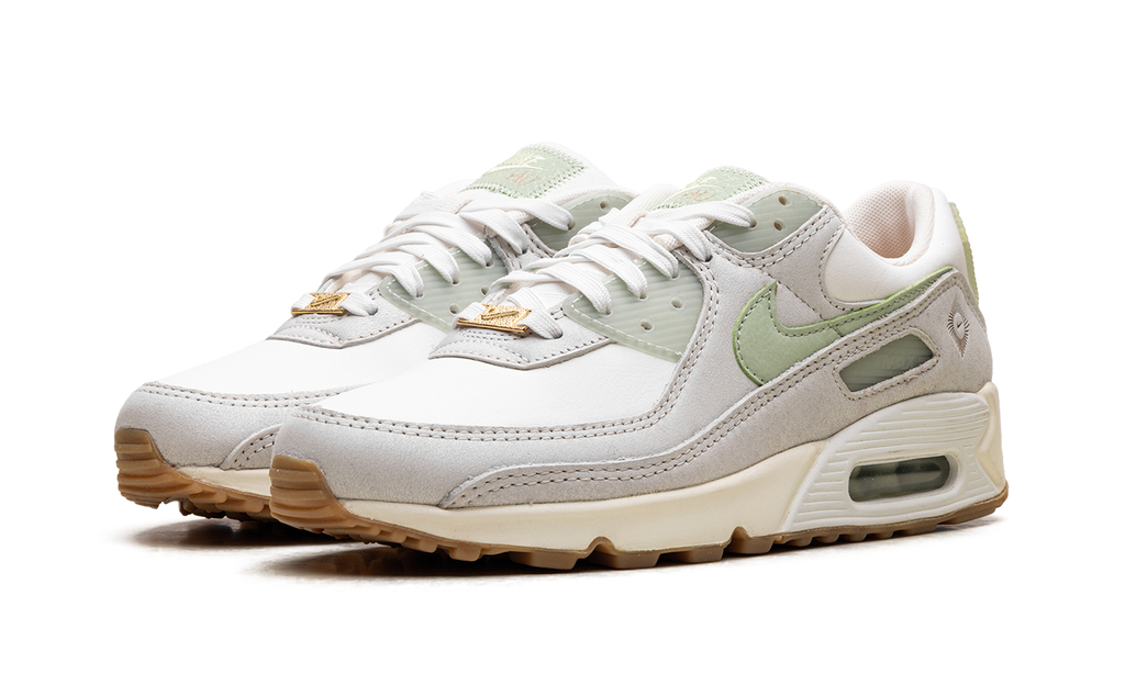 Nike Air Max 90 SE WMNS Australia FN7490 133