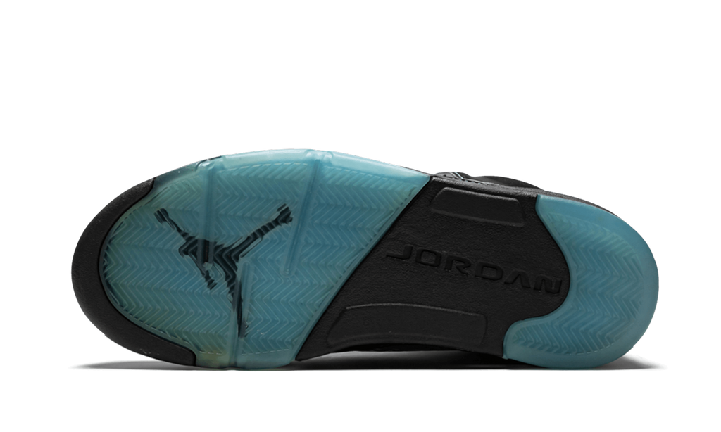 Air Jordan 5 Retro LS UNC 314259 041