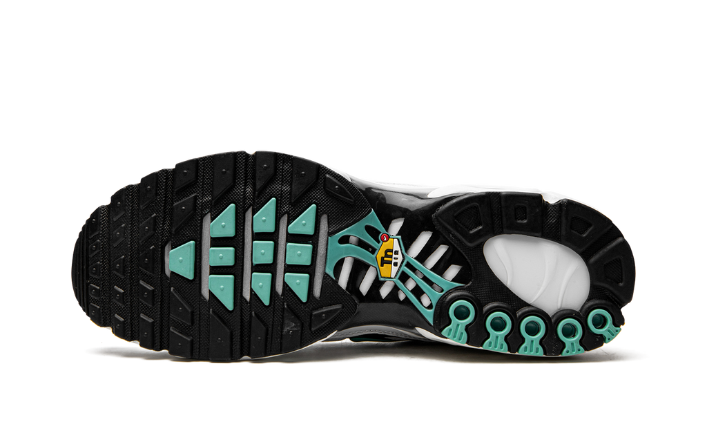 Nike Air Max Plus Atmos 604133 148