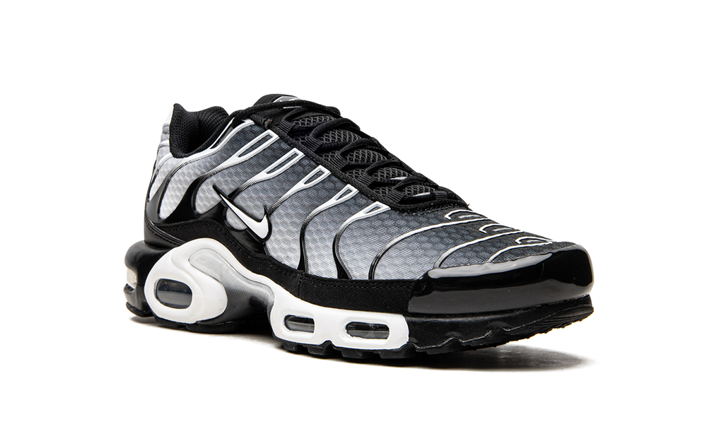 Nike Air Max Plus Black / Silver DM0032 003