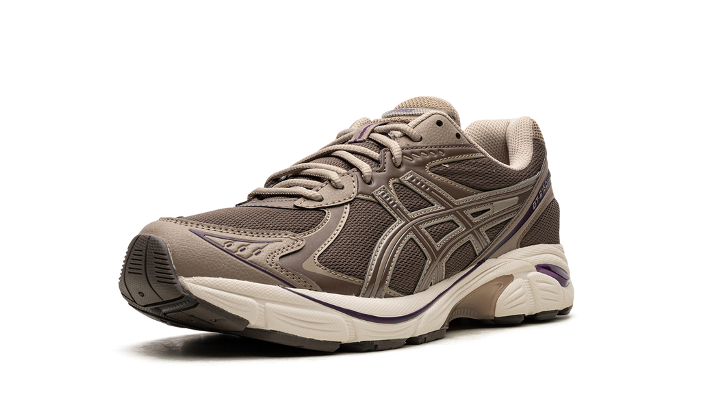 Asics GT 2160 Dark Taupe Purple 1203A320 251
