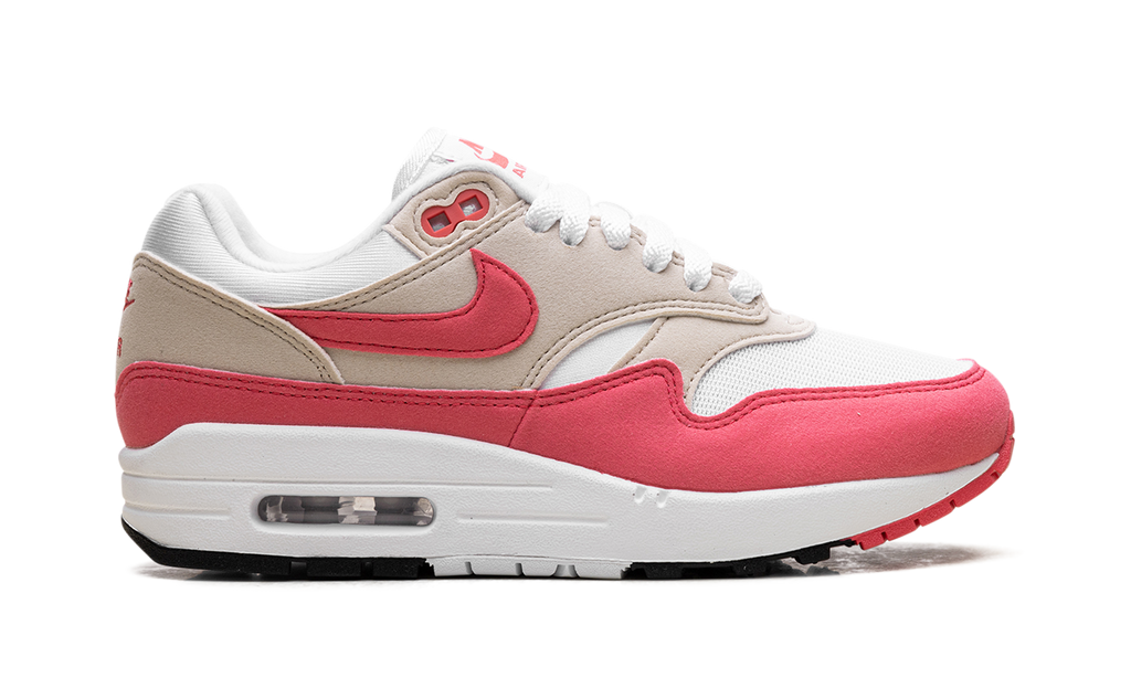Nike Air Max 1 WMNS Aster Pink DZ2628 110