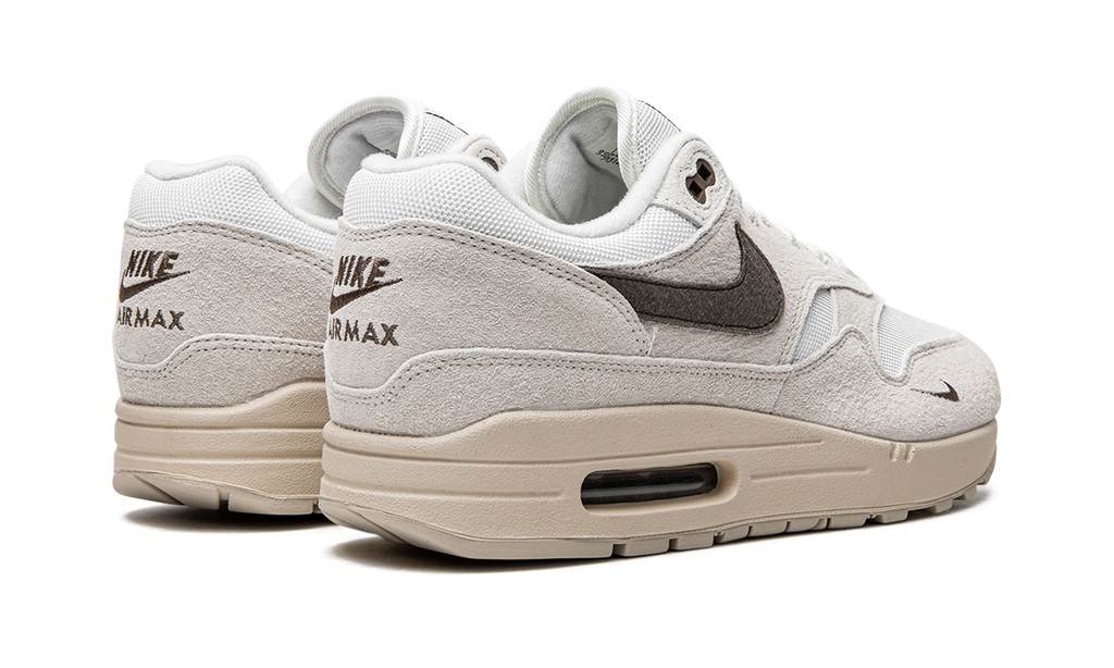 Nike Air Max 1 Sail Ironstone DZ4494 100