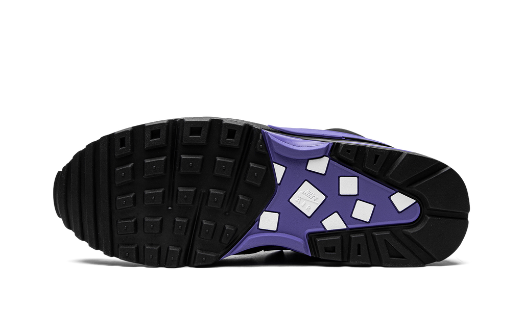 Nike Air Max BW OG Black Persian Violet DM3047 001