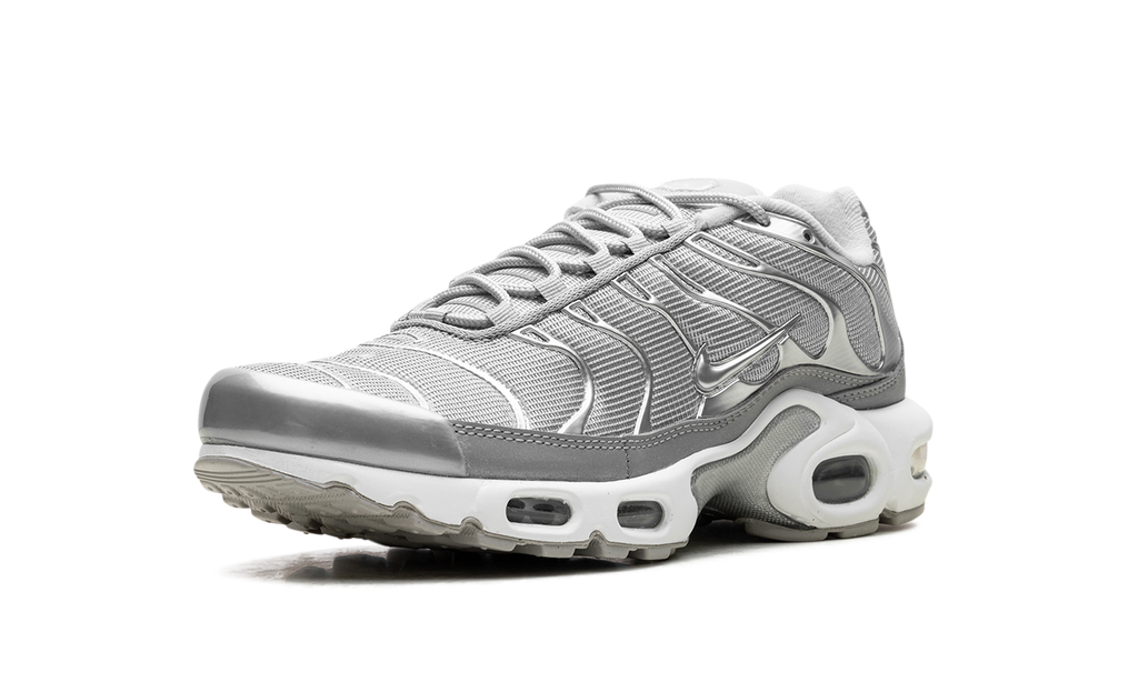 Nike Air Max Plus Metallic Silver Fj1012 095