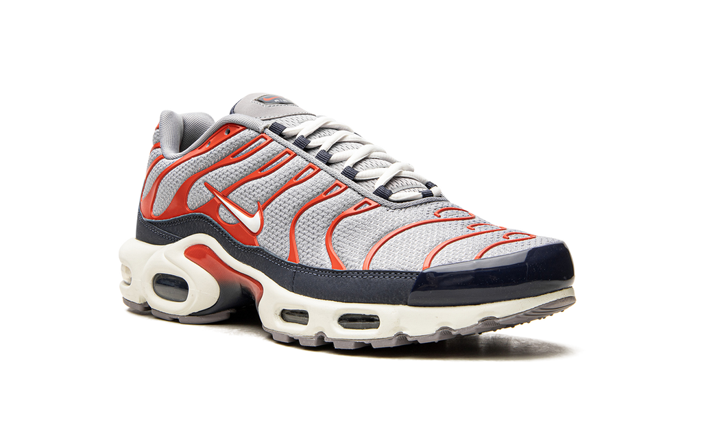 Nike Air Max Plus USA Grey DB0682 003