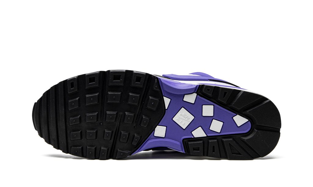 Nike AIR MAX B WMNS White Persian Violet DN4113 101